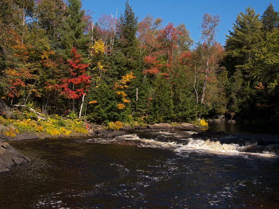 algonquin fall