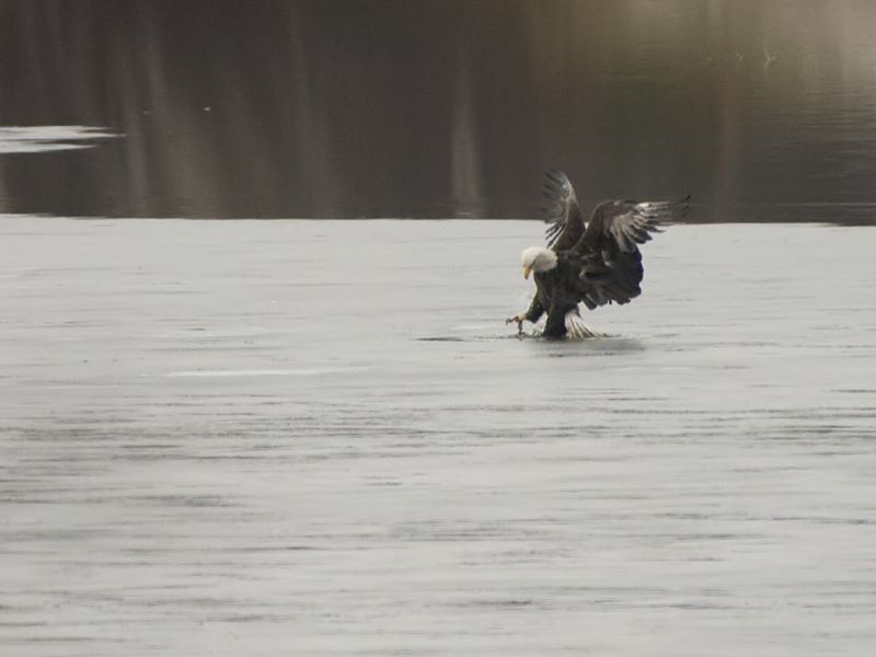 Ah! We have a hole...