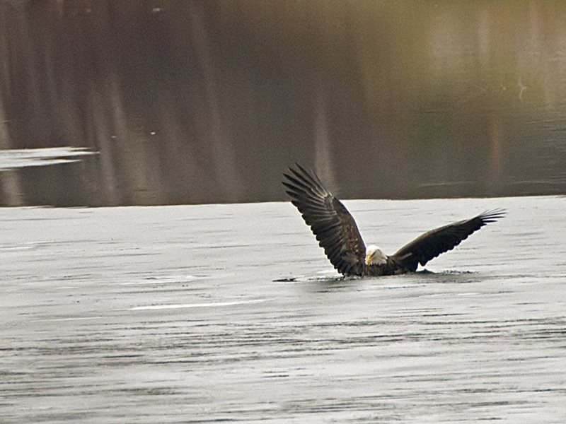 Whoa! Now how do I get outa here?