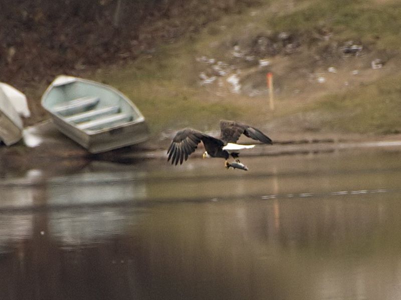 Not a bad afternoon's work, if you don't mind the chill.