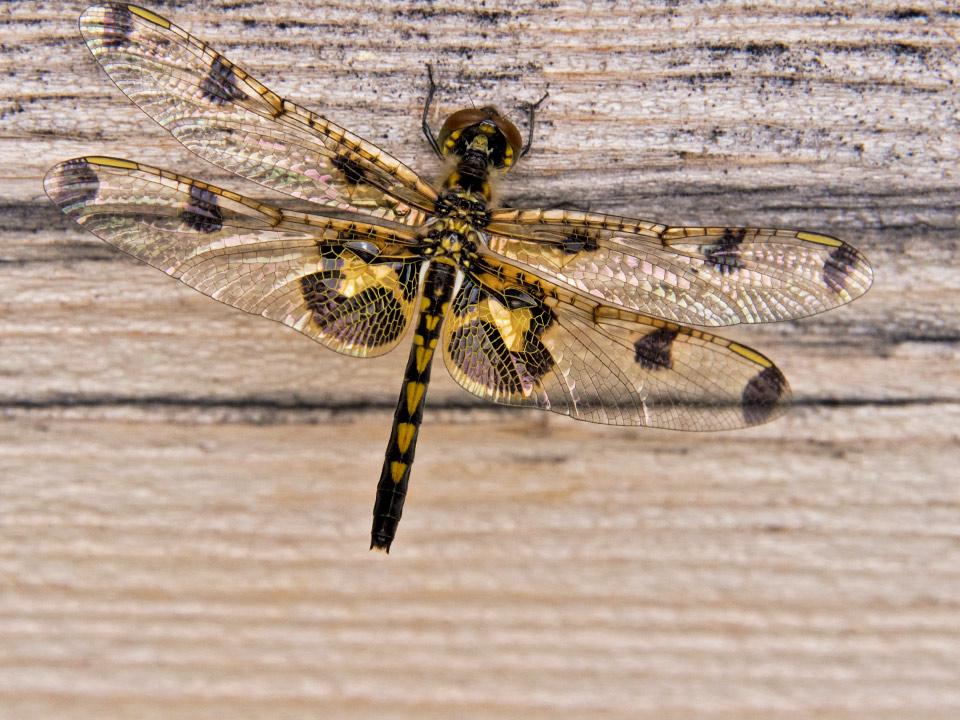 But they are also living examples of the maxim: