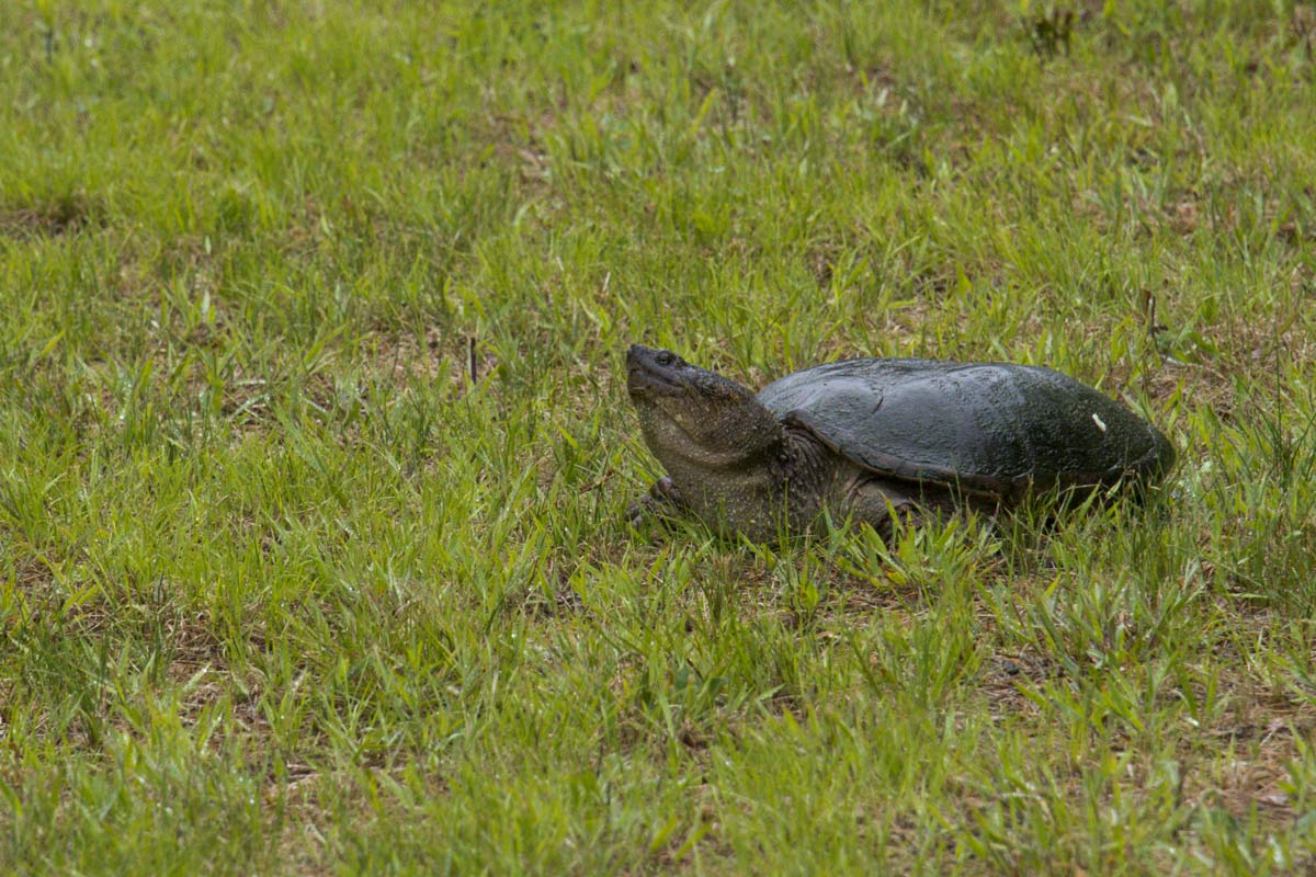 It's a serious business.