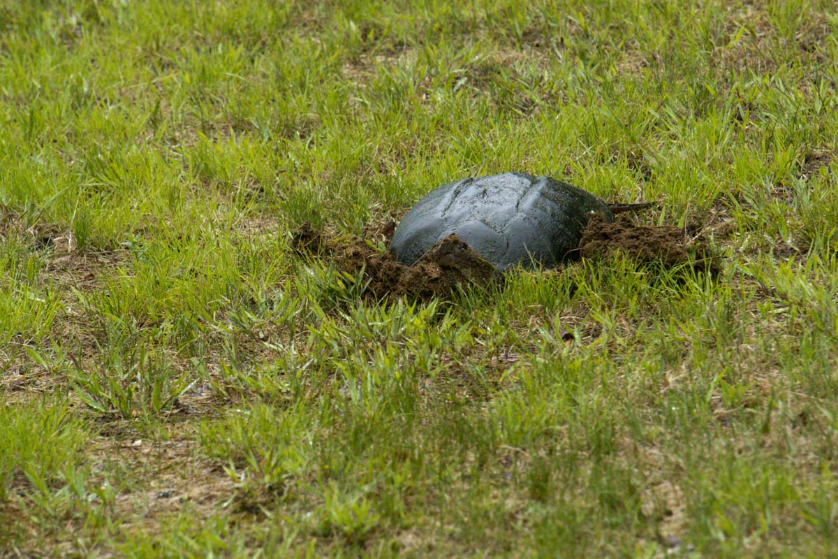 And Mother takes her job seriously!