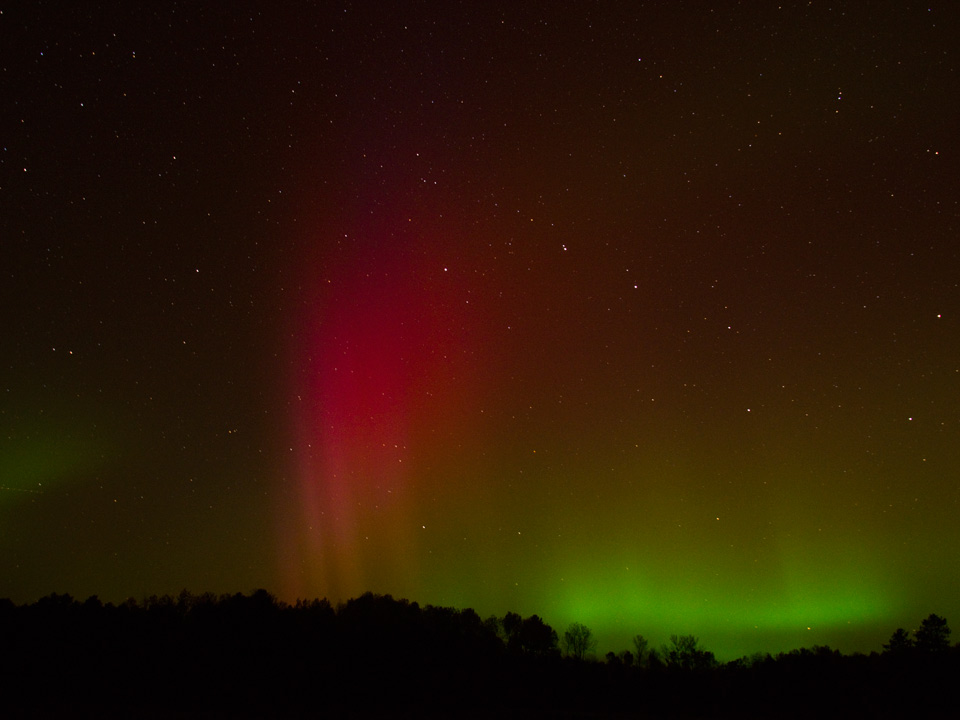 Oct 8, 2013   Unrecognized at the time, this may have been my first sighting of a "Steve".