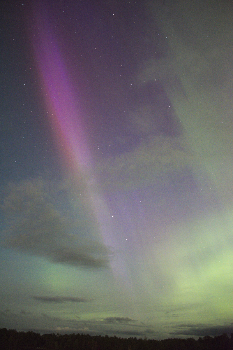 Sept. 7, 2017  The beginning of another Steve ?