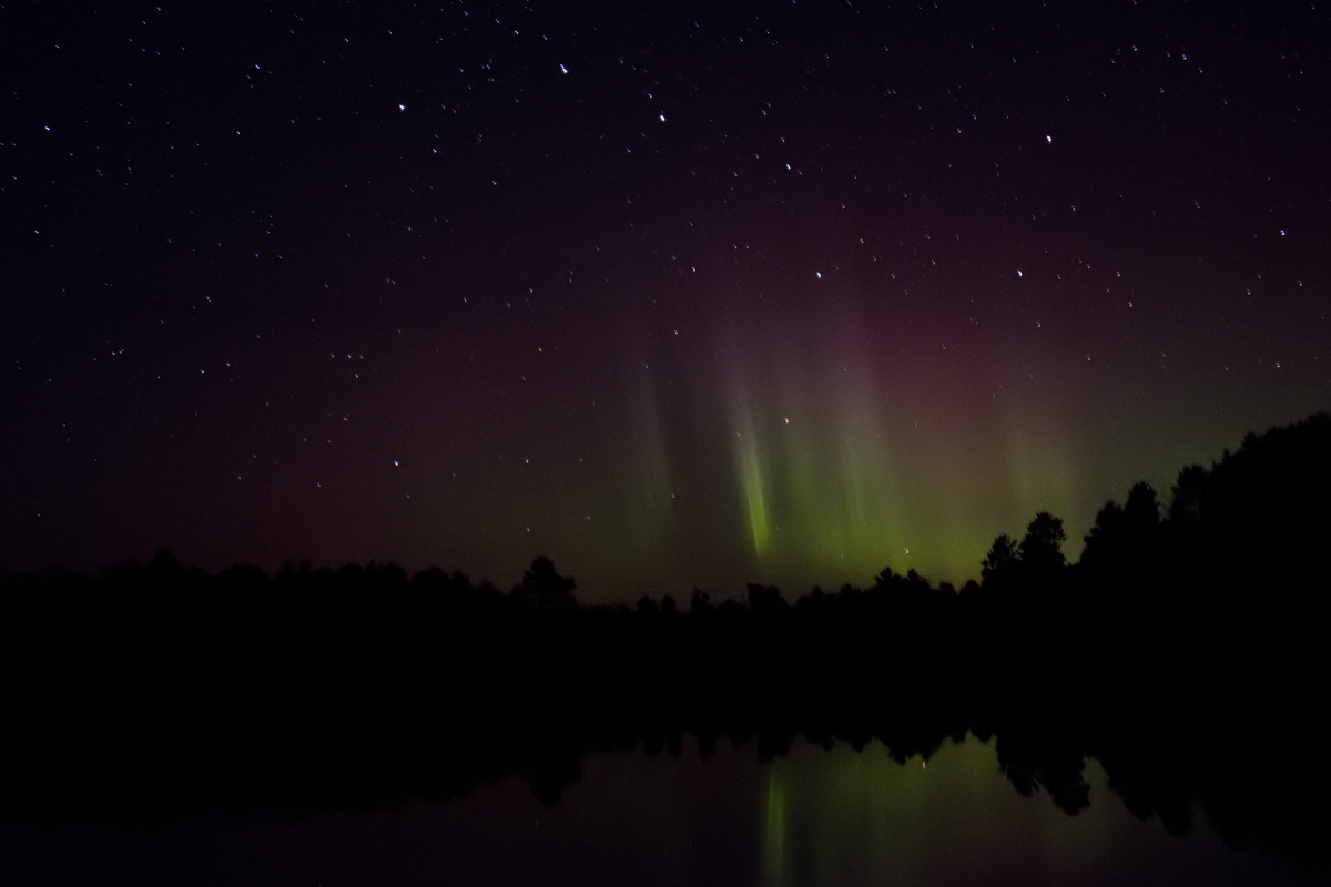Sept. 13, 2019    We get a classic Steve ( Strong Thermal Emission Velocity Enhancement) developing.