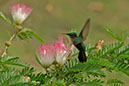 E_A250769