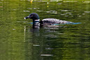2_B243819