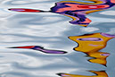 D_C012861b