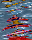 J_C012881