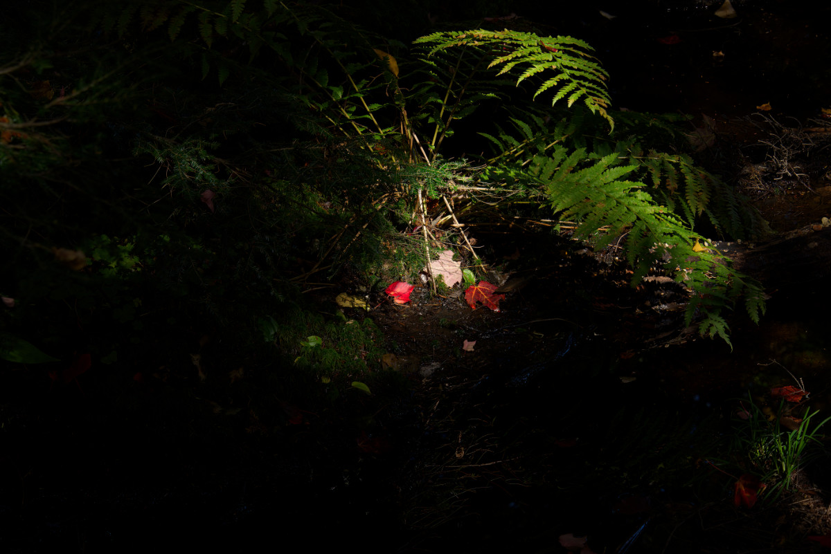 There is beauty even in the darkest places.