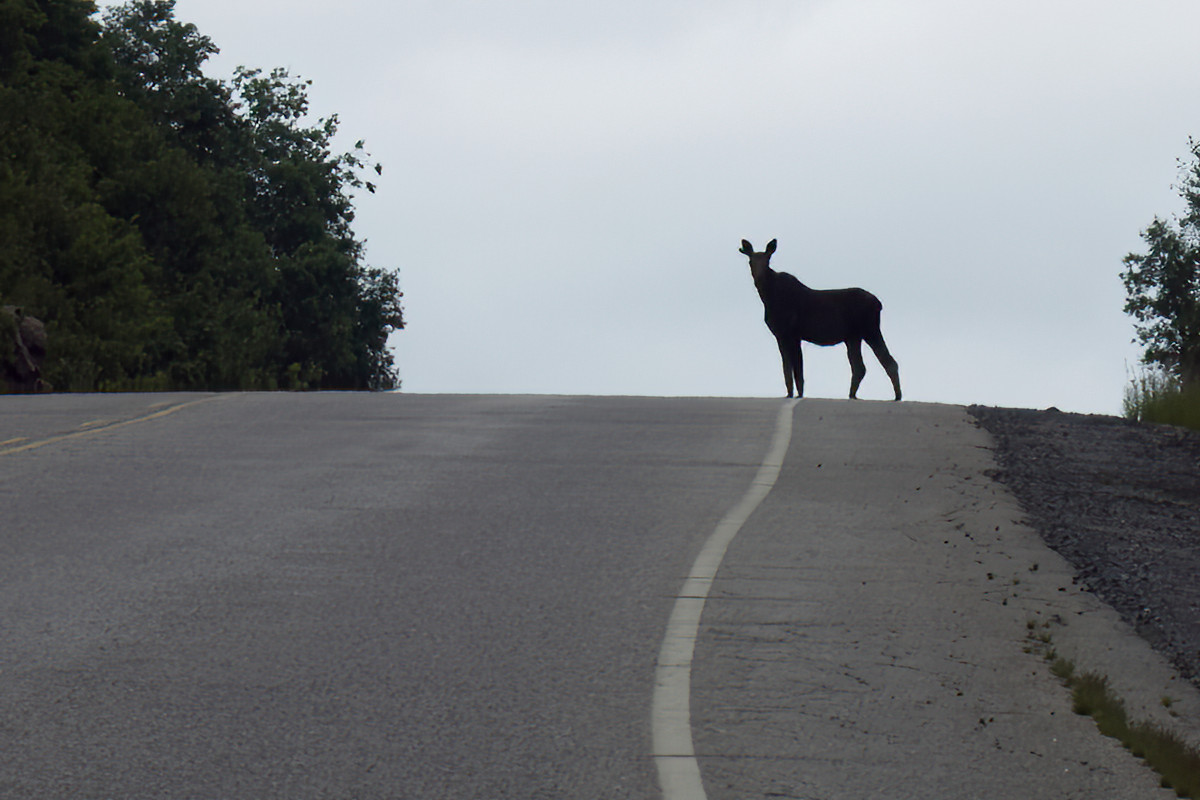 This is a scene you don't want to see on Hwy 60.