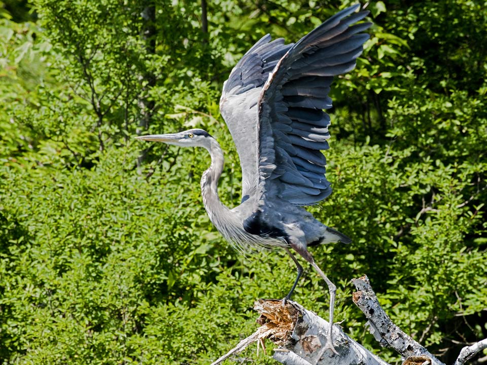 Takeoff !